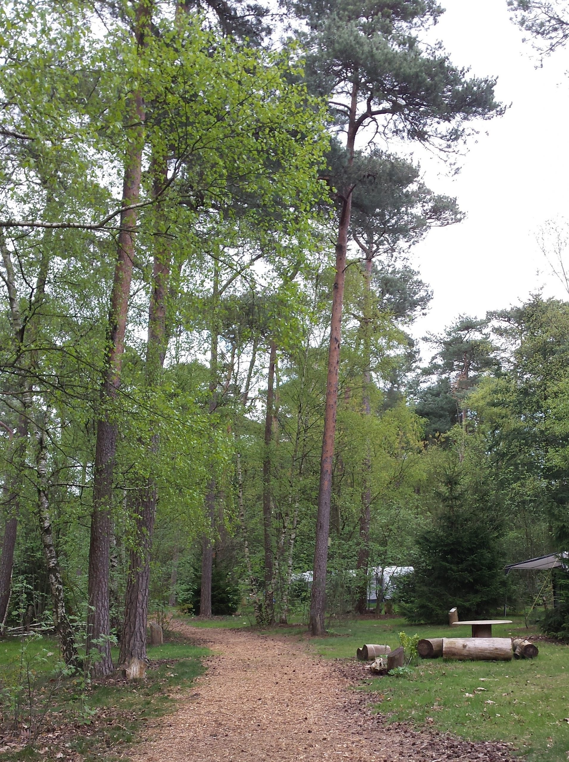 De Camping